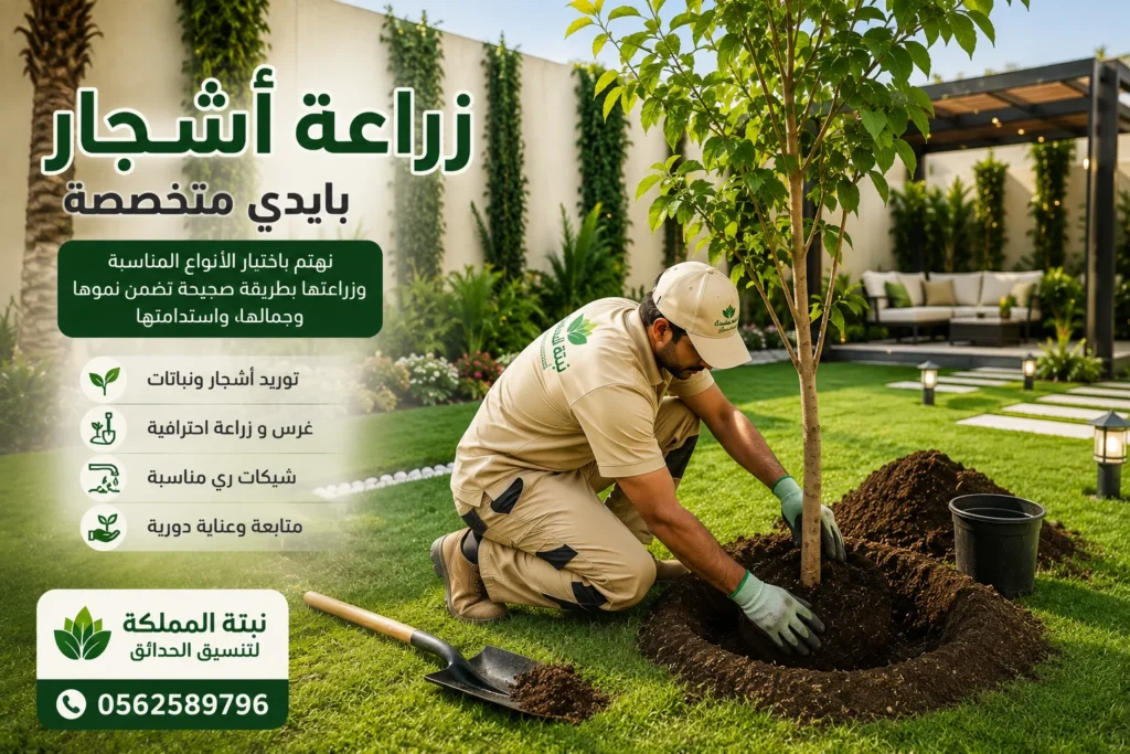 زراعة أشجار بالرياض