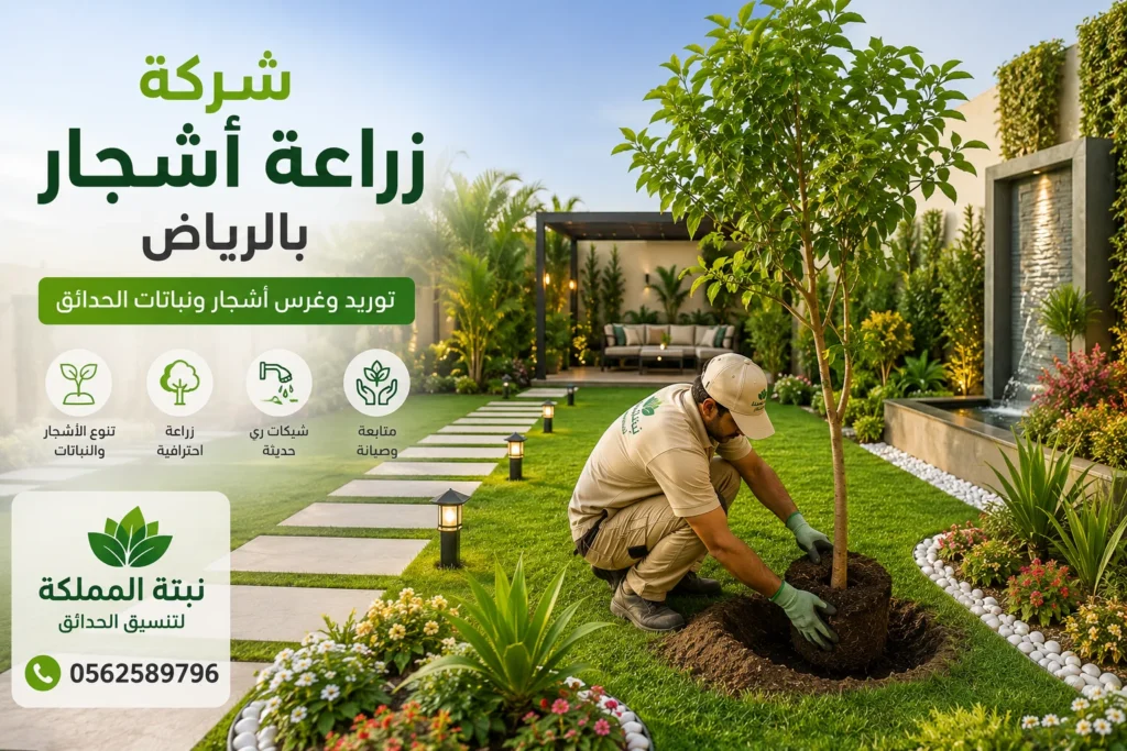 شركة زراعة أشجار بالرياض