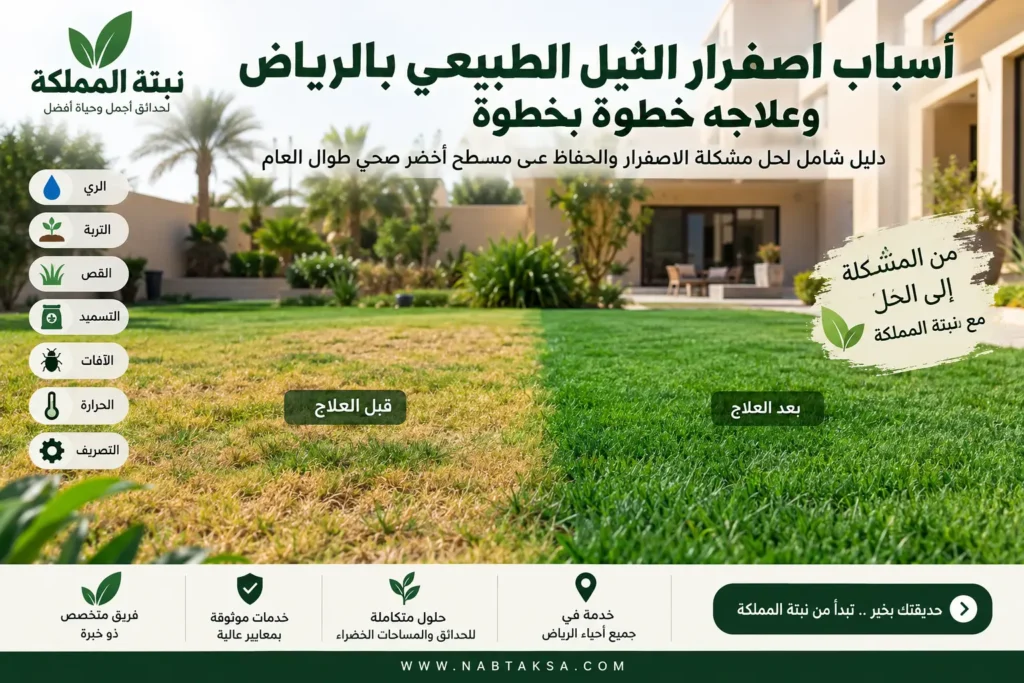 أسباب اصفرار الثيل الطبيعي بالرياض