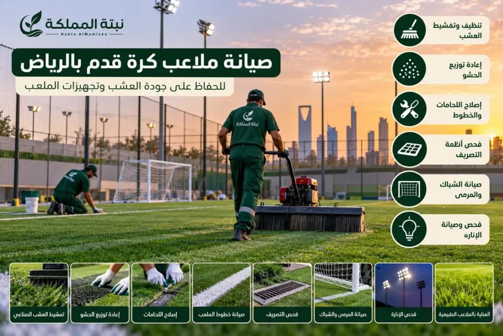 صيانة ملاعب كرة قدم بالرياض