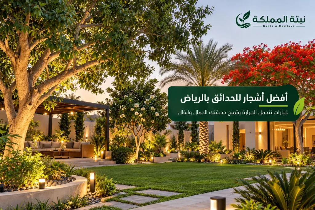 أفضل أشجار للحدائق بالرياض