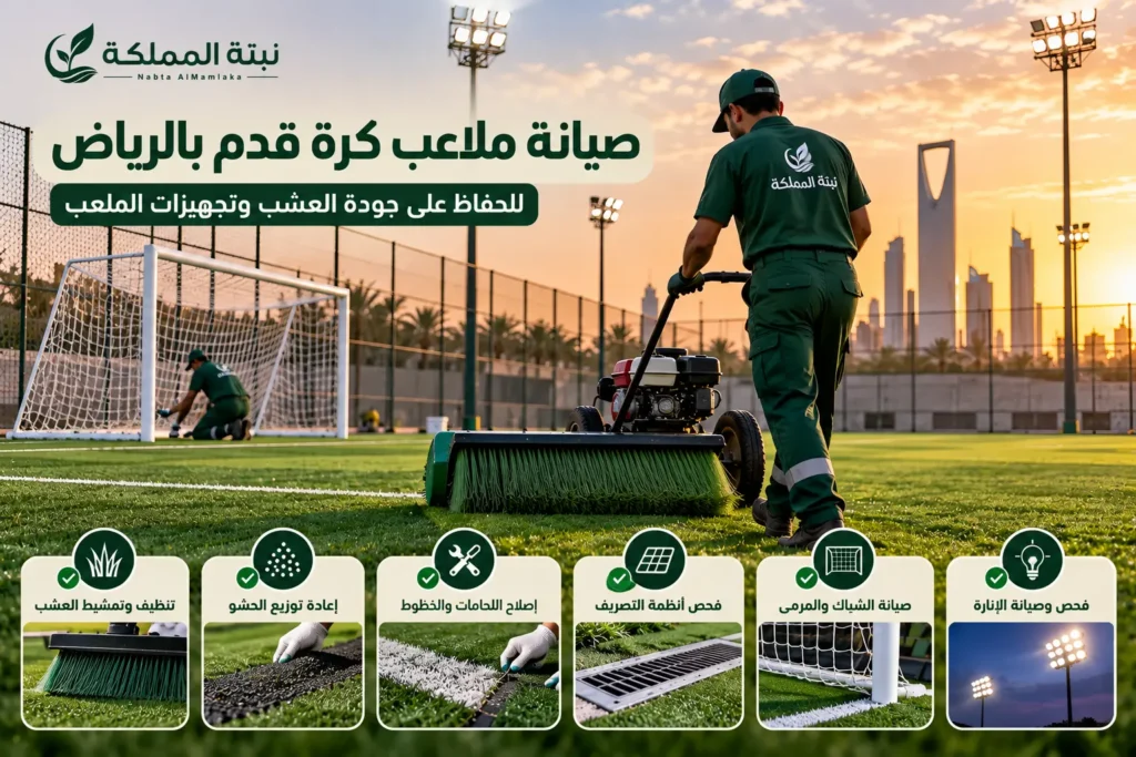 صيانة ملاعب كرة قدم بالرياض